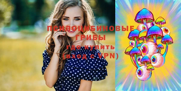 apvp Баксан